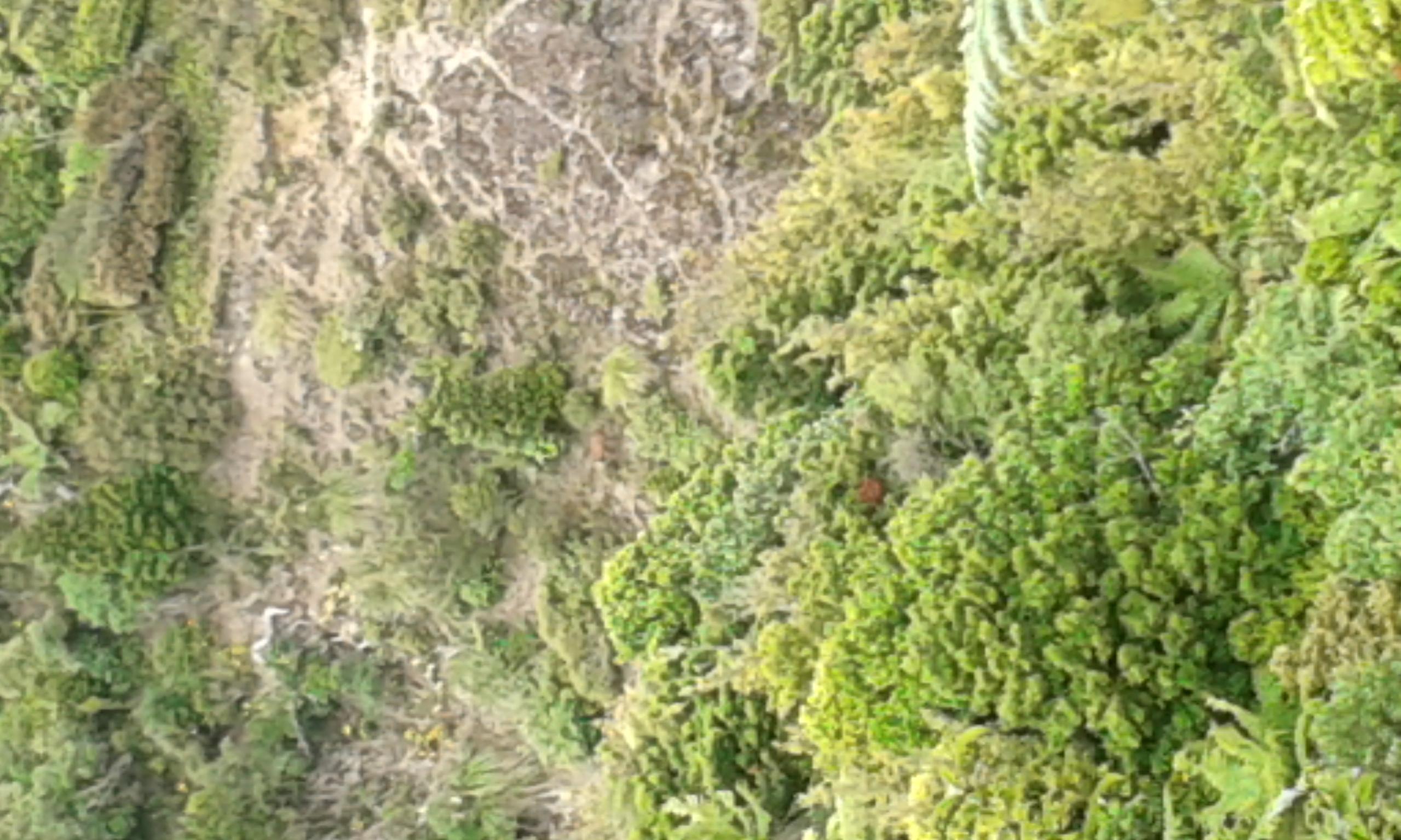 Name:  20150221_115703.jpg
Views: 418
Size:  388.3 KB