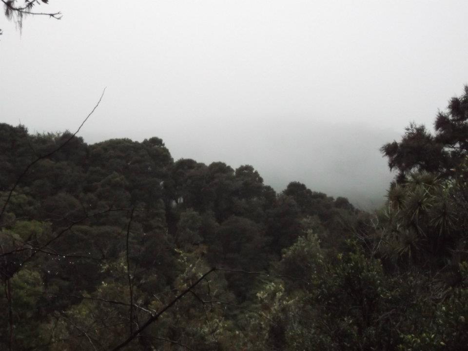 Name:  Weather wasnt the best.jpg
Views: 705
Size:  54.1 KB