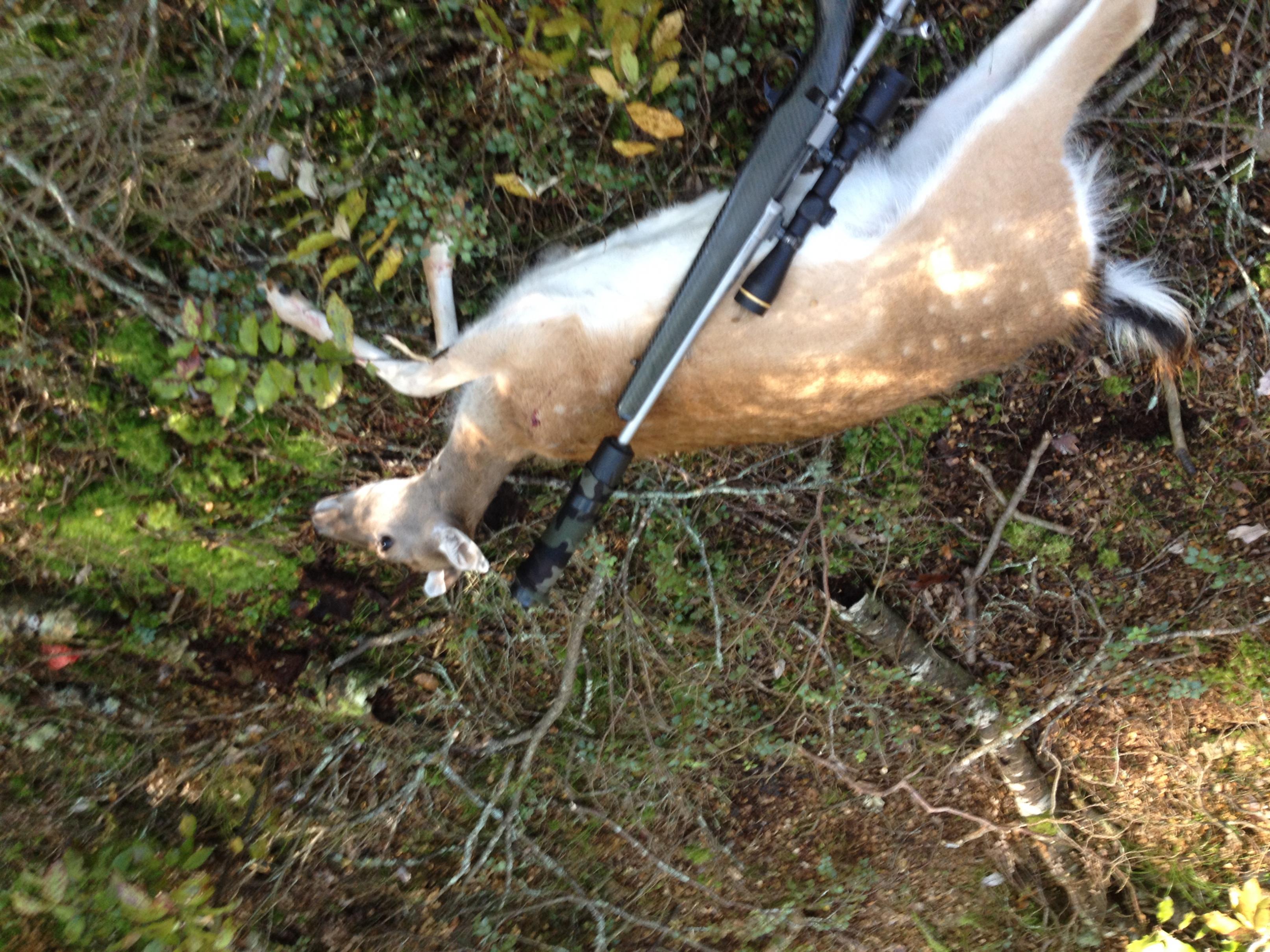 Name:  IMG_0166.jpg
Views: 438
Size:  985.3 KB