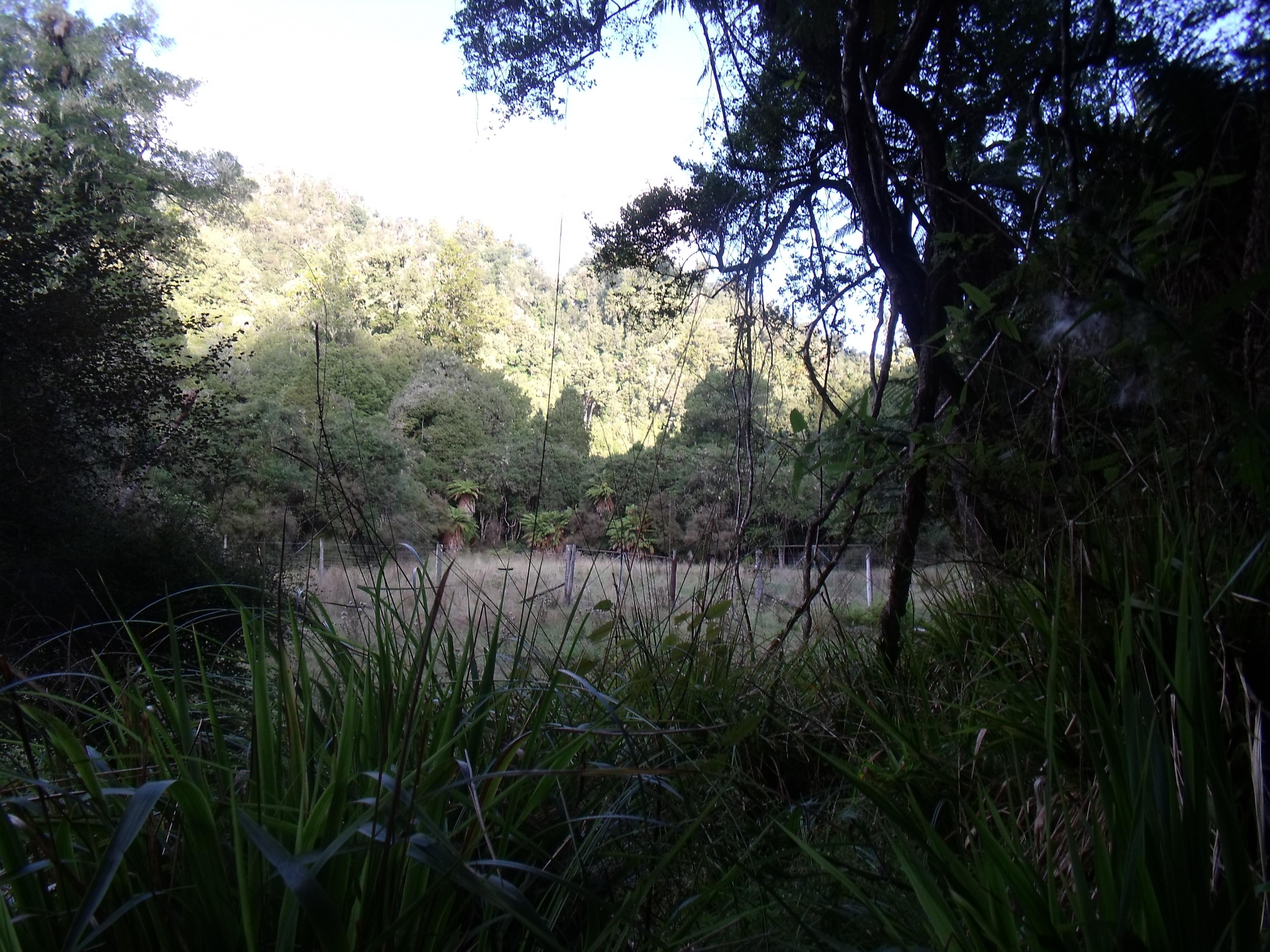 Name:  DSCF1730.jpg
Views: 455
Size:  1.01 MB