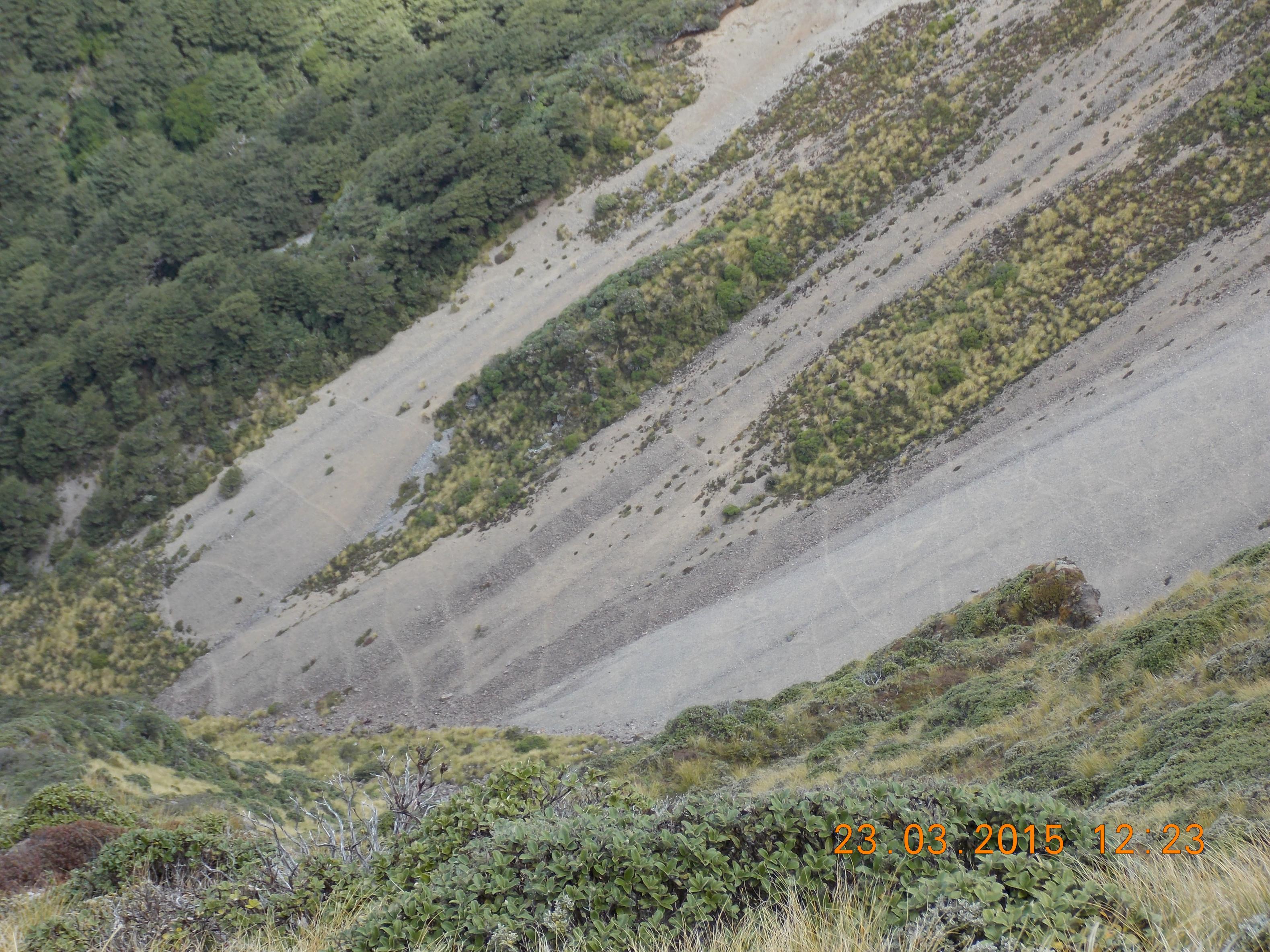 Name:  DSCN0816.jpg
Views: 736
Size:  1.12 MB