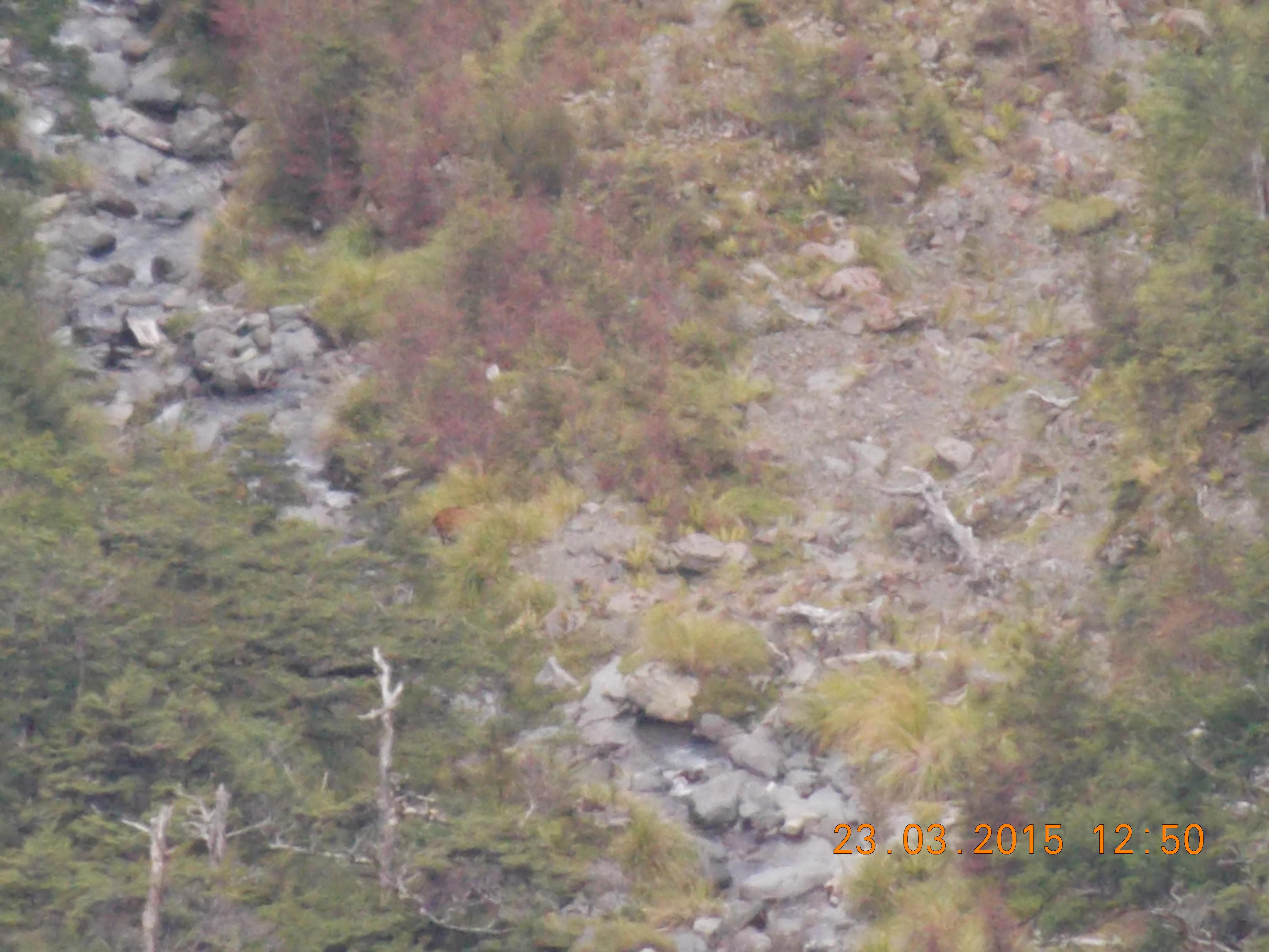 Name:  DSCN0825.jpg
Views: 789
Size:  805.9 KB