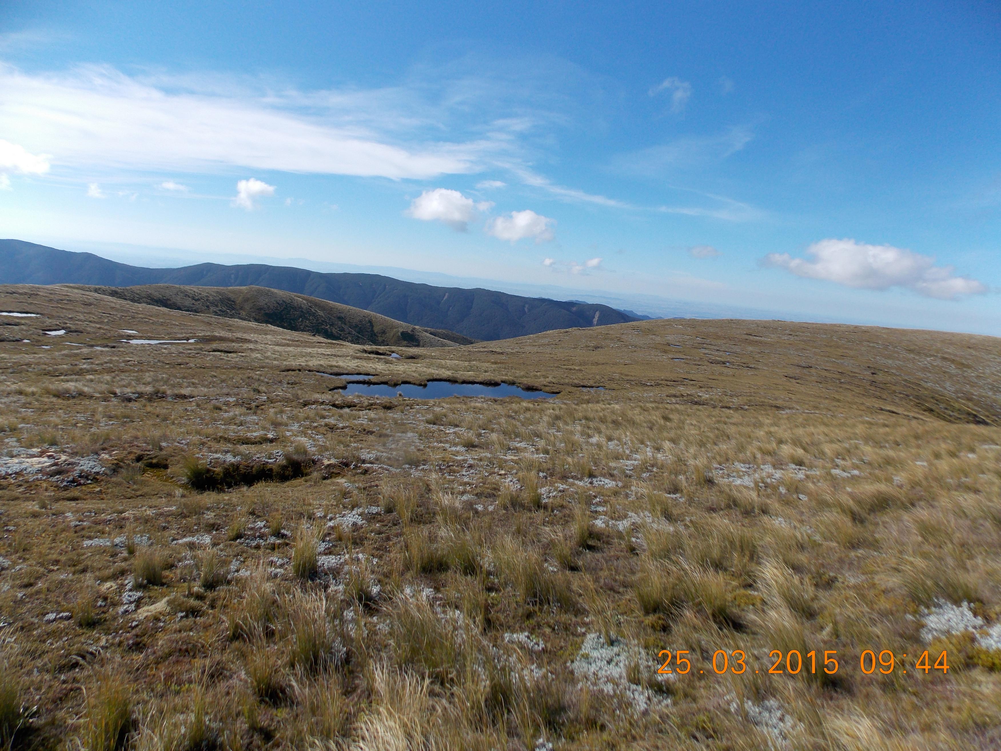 Name:  DSCN0875.jpg
Views: 689
Size:  1.07 MB