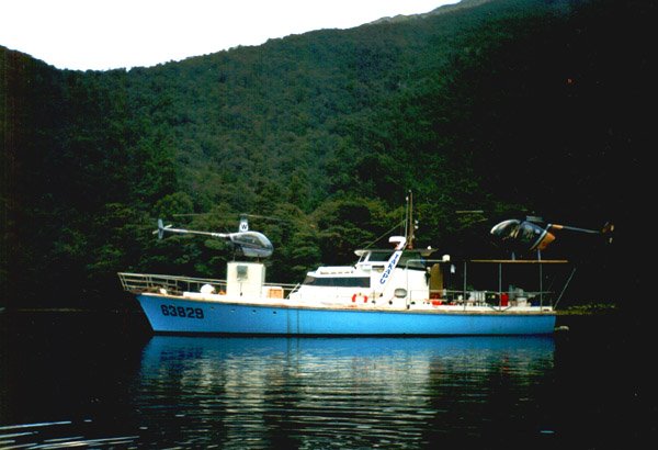 Name:  Takapu-300-600-410v2.jpg
Views: 847
Size:  74.6 KB