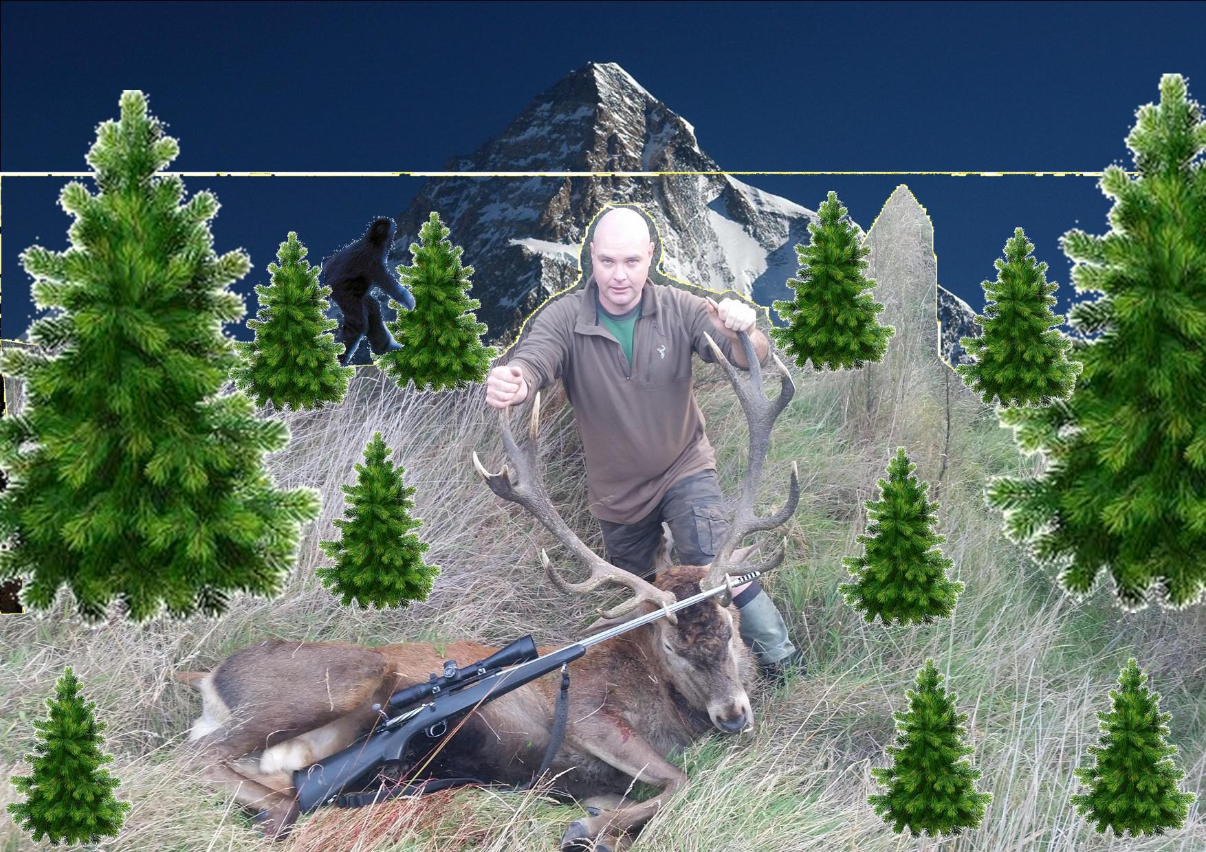 Name:  stag.jpg
Views: 392
Size:  450.0 KB