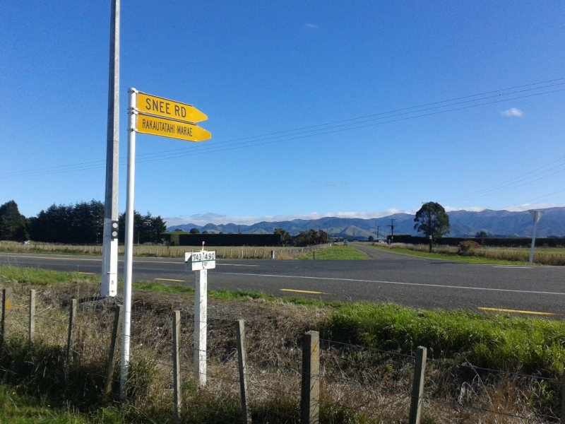 Name:  Snee Rd sign.jpg
Views: 526
Size:  373.8 KB