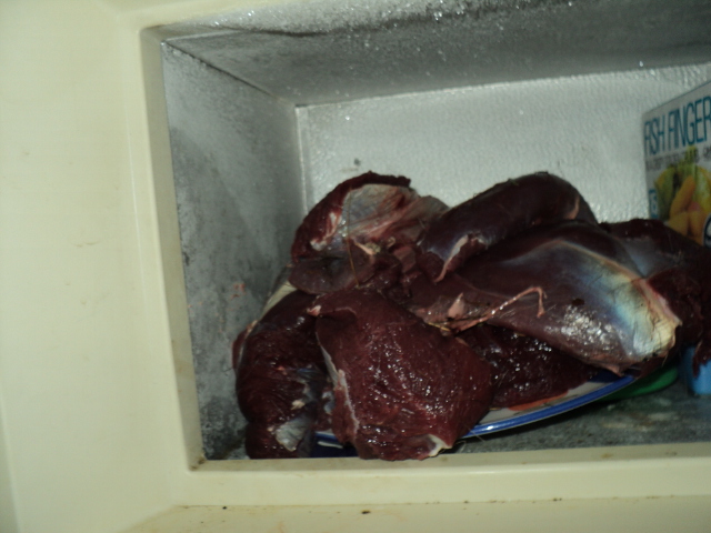Name:  picture 1803.jpg
Views: 605
Size:  161.4 KB