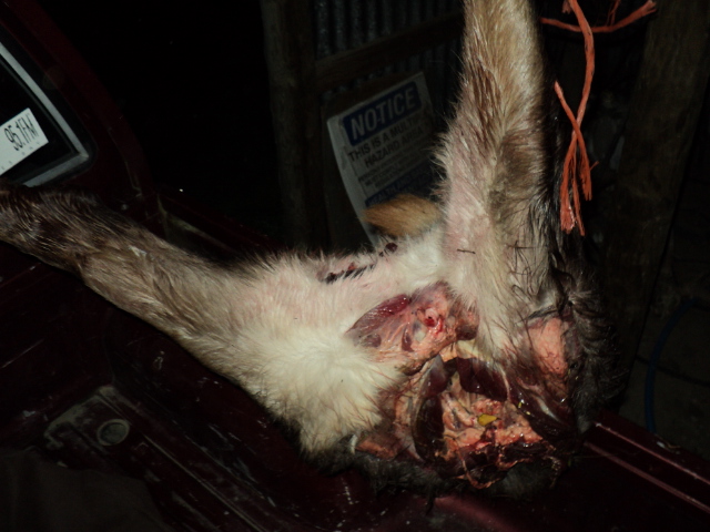 Name:  picture 1806.jpg
Views: 539
Size:  160.7 KB
