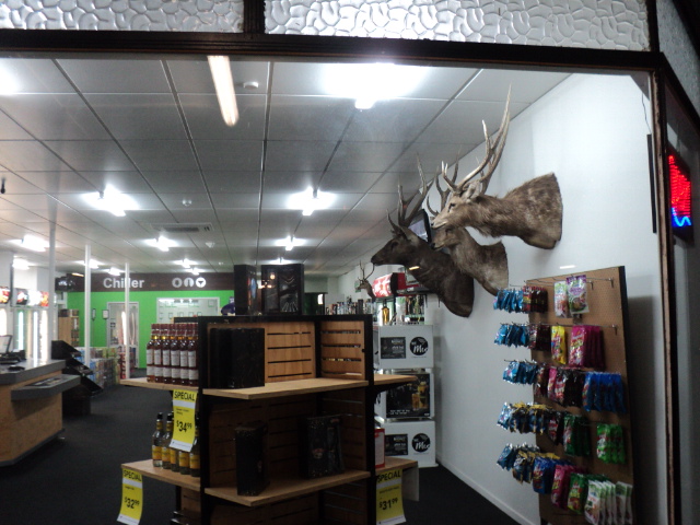 Name:  picture 6092.jpg
Views: 573
Size:  165.0 KB