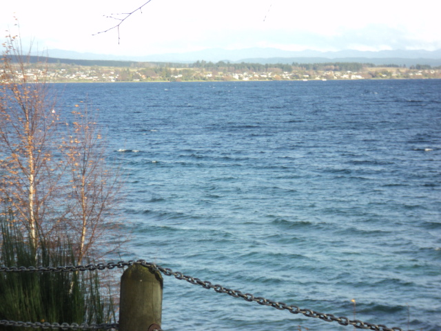 Name:  picture 6098.jpg
Views: 443
Size:  163.9 KB