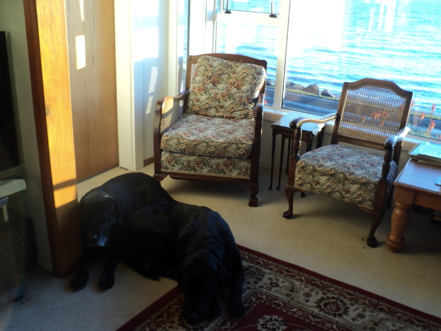 Name:  picture 6104.jpg
Views: 299
Size:  165.0 KB