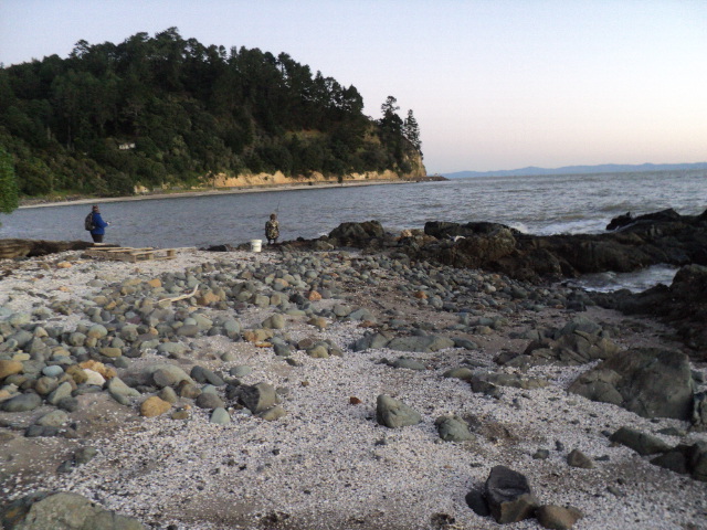 Name:  picture 6107.jpg
Views: 295
Size:  164.9 KB