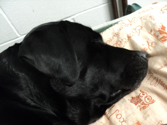 Name:  picture 6126.jpg
Views: 333
Size:  161.2 KB
