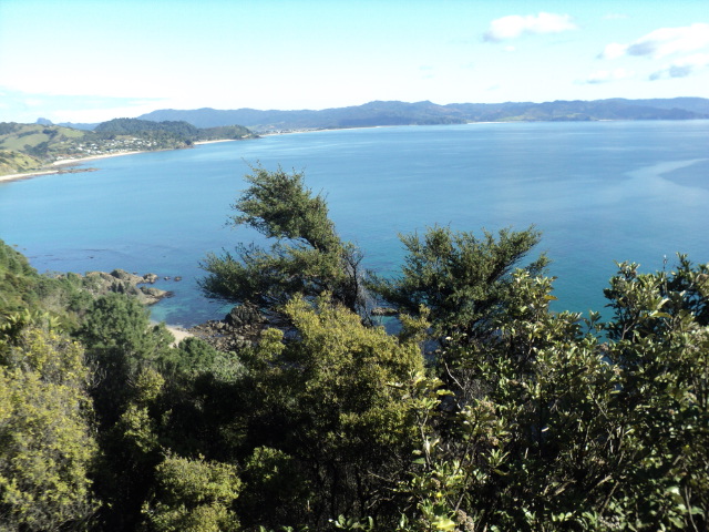 Name:  picture 6134.jpg
Views: 224
Size:  163.5 KB