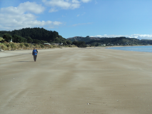 Name:  picture 6147.jpg
Views: 233
Size:  160.3 KB