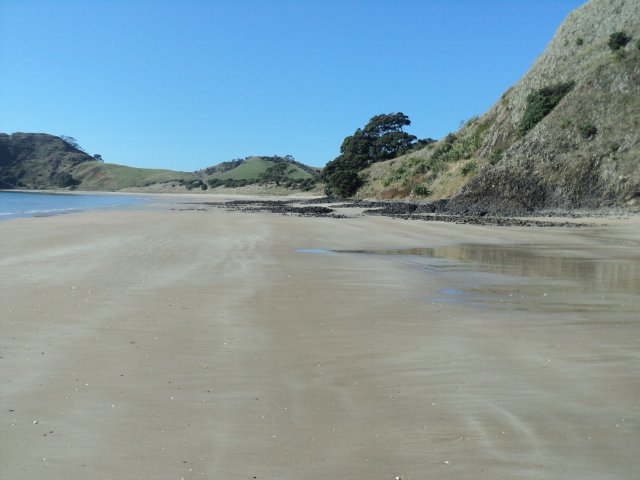 Name:  picture 6148.jpg
Views: 250
Size:  159.6 KB