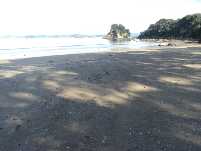 Name:  picture 6154.jpg
Views: 227
Size:  164.5 KB