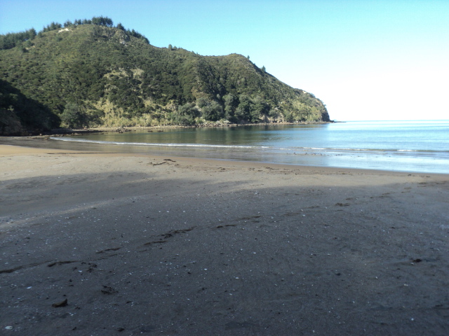Name:  picture 6156.jpg
Views: 230
Size:  164.6 KB