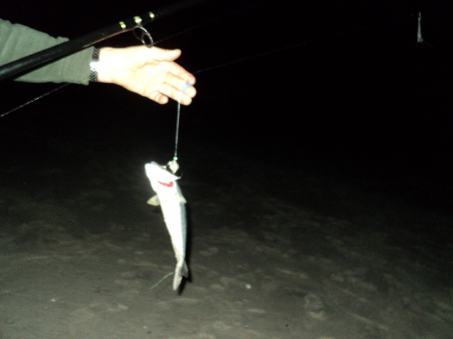 Name:  picture 6180.jpg
Views: 197
Size:  155.8 KB