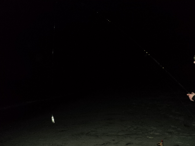 Name:  picture 6191.jpg
Views: 245
Size:  126.6 KB