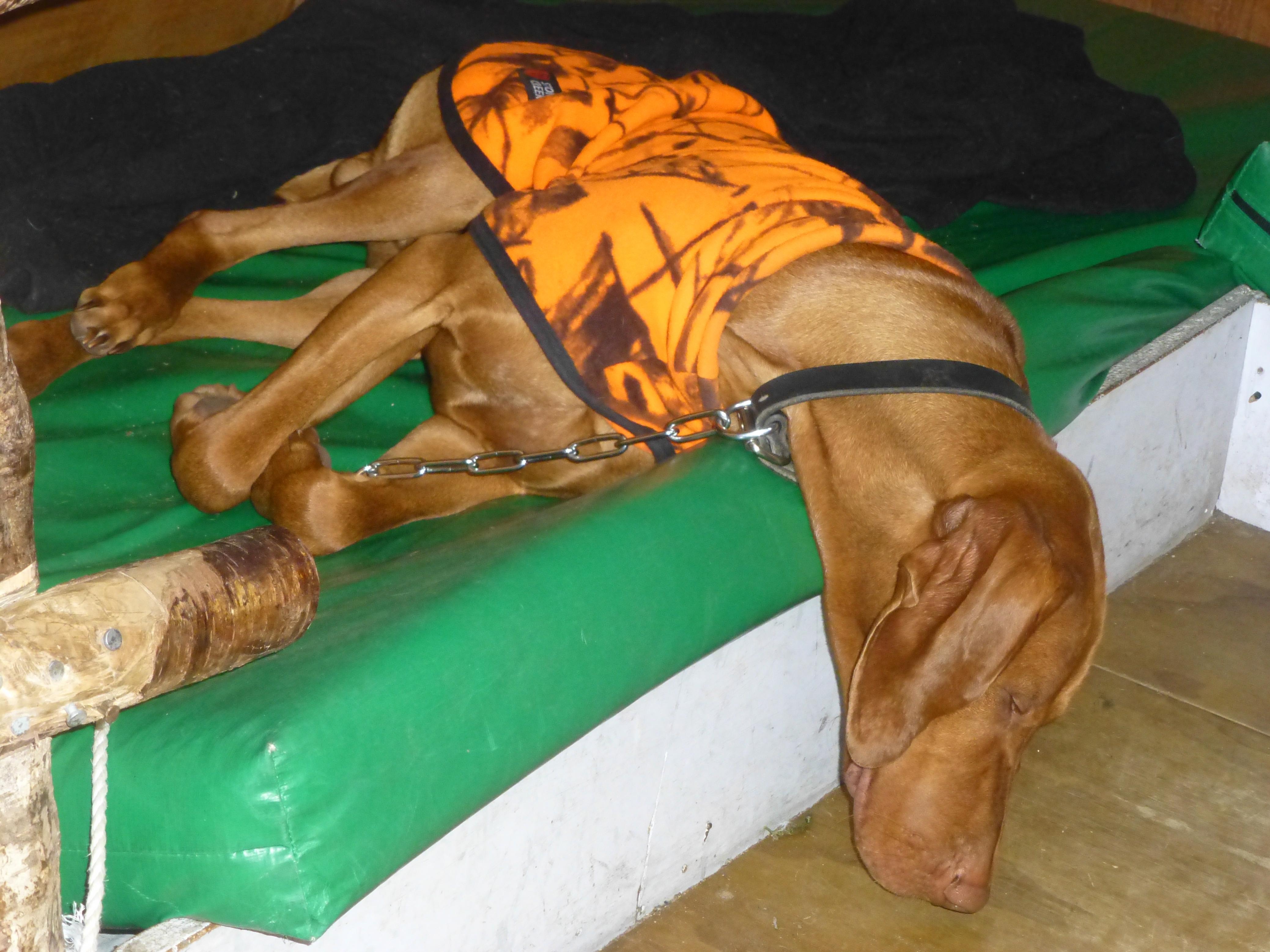 Name:  P1010875.jpg
Views: 696
Size:  987.6 KB