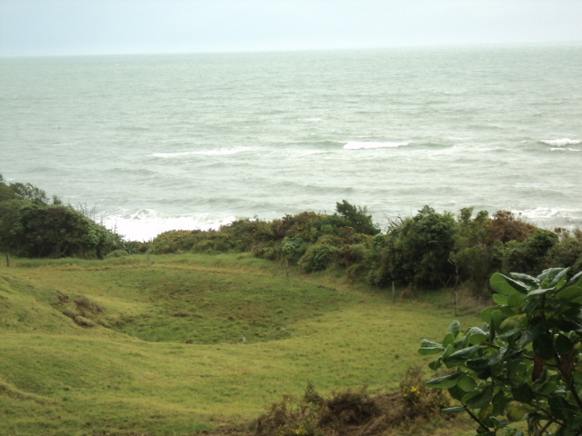 Name:  picture 6203.jpg
Views: 176
Size:  164.1 KB