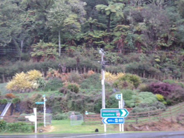 Name:  picture 6217.jpg
Views: 223
Size:  164.0 KB