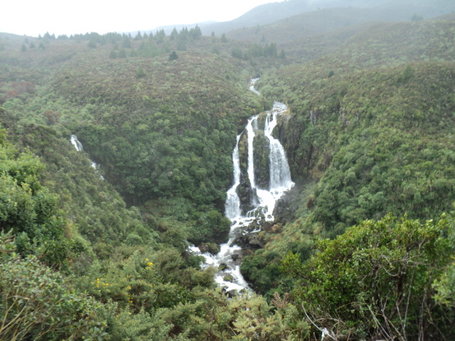 Name:  picture 6235.jpg
Views: 180
Size:  164.2 KB