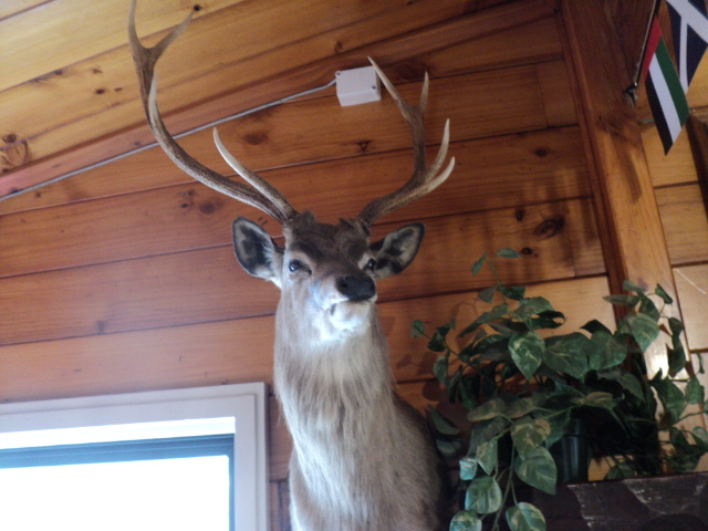 Name:  picture 6237.jpg
Views: 231
Size:  163.3 KB