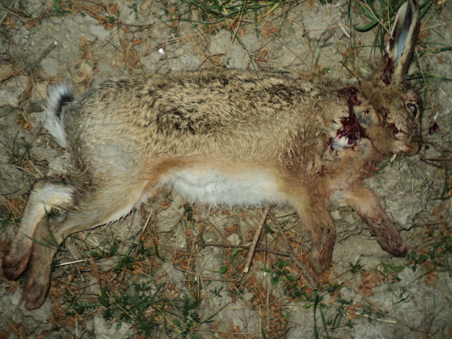 Name:  picture 404.jpg
Views: 613
Size:  163.3 KB