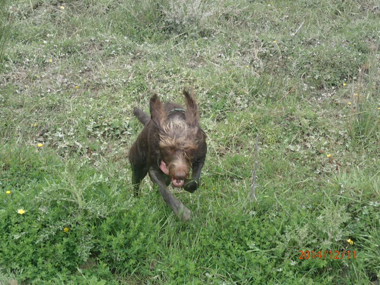 Name:  PC110631.jpg
Views: 568
Size:  350.3 KB