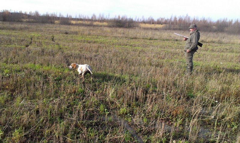 Name:  IMAG0251 (Copy).jpg
Views: 536
Size:  174.4 KB