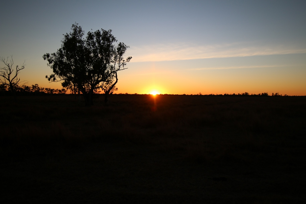 Name:  IMG_0528 (1024x683) (2).jpg
Views: 490
Size:  210.0 KB