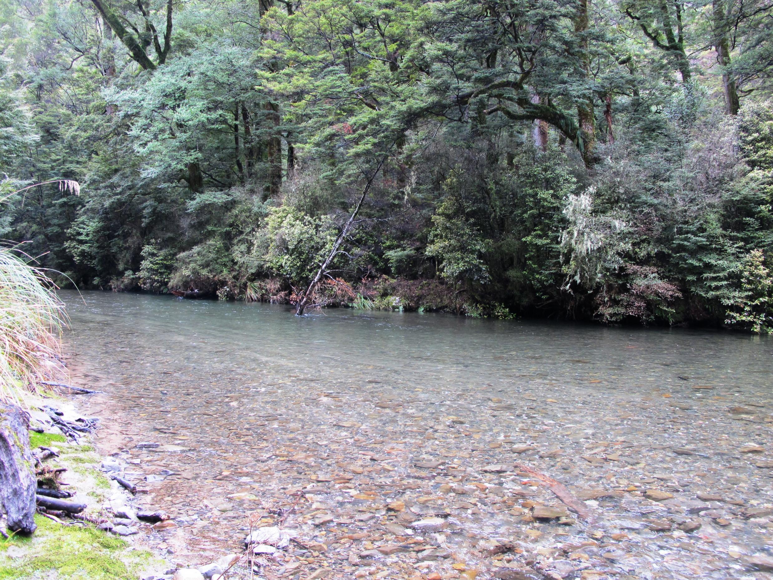 Name:  IMG_4182.jpg
Views: 655
Size:  1.09 MB