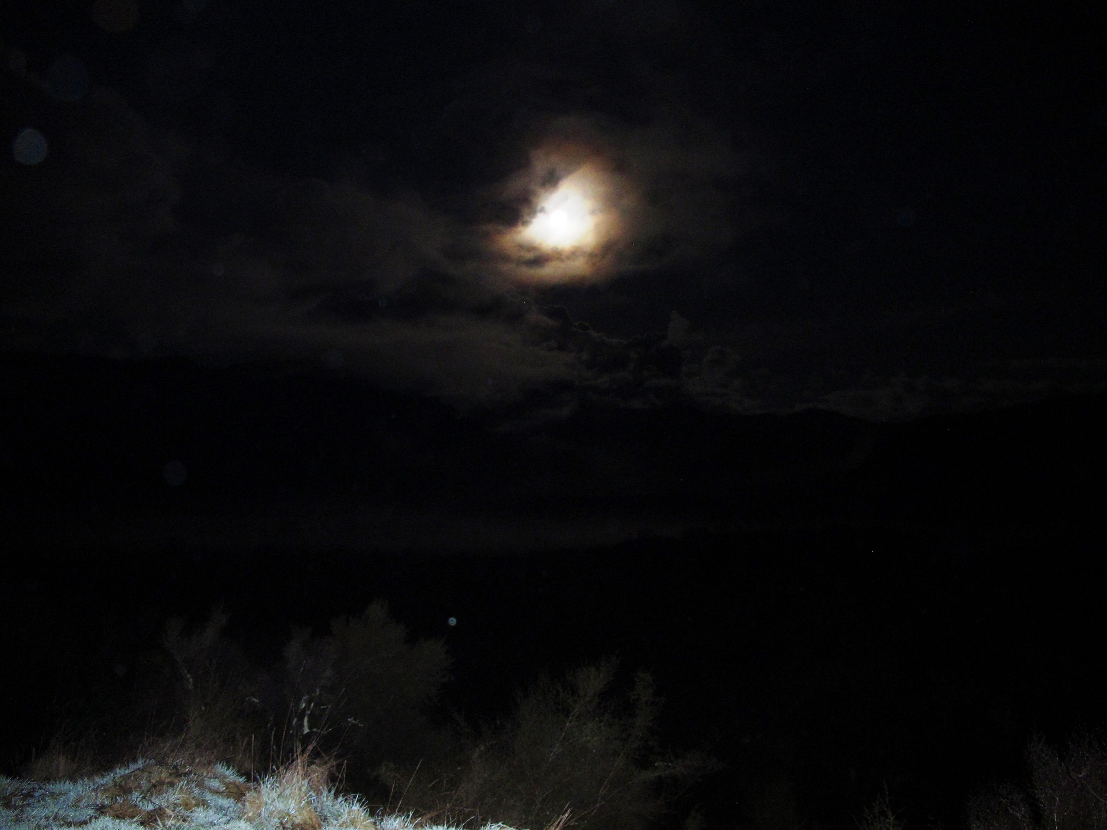 Name:  IMG_4198.jpg
Views: 687
Size:  605.9 KB