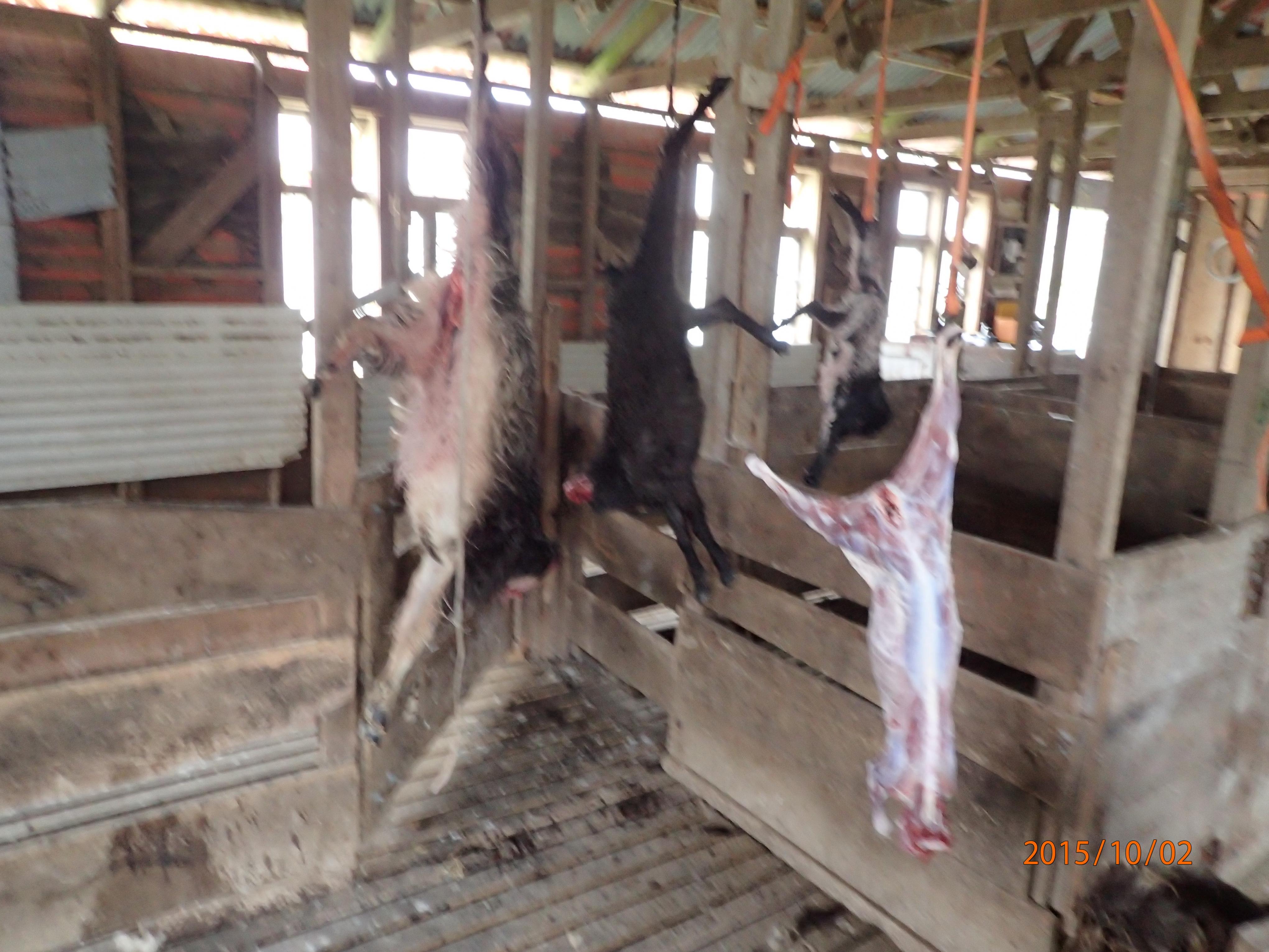 Name:  PA020044.jpg
Views: 435
Size:  984.5 KB
