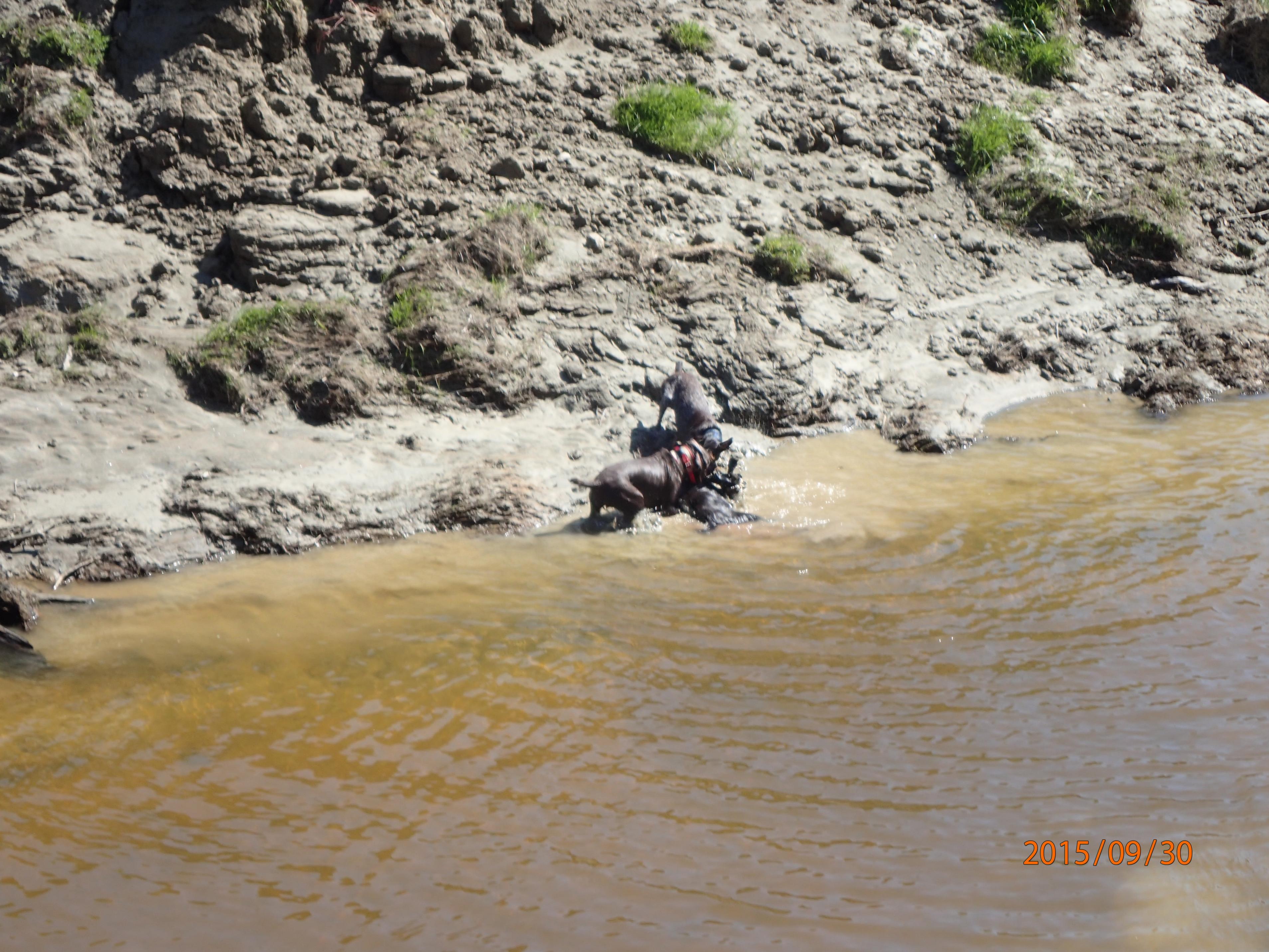 Name:  P9300032.jpg
Views: 475
Size:  1.03 MB