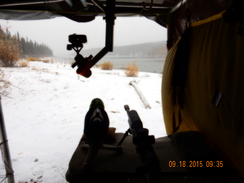 Name:  LRKM on duty; snowy day at the shootin' shack1.jpg
Views: 337
Size:  399.7 KB
