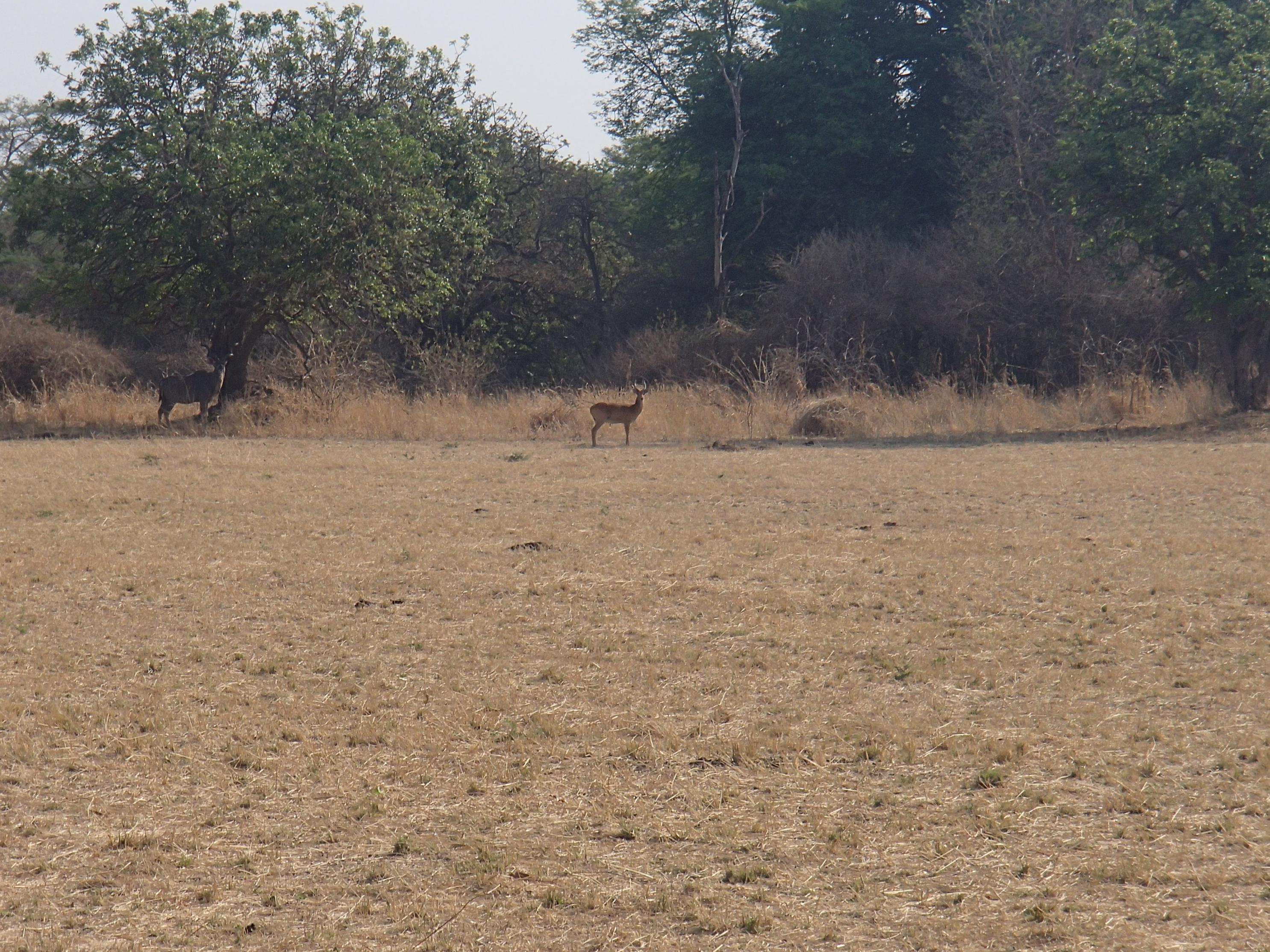 Name:  PA060025.jpg
Views: 406
Size:  1.06 MB