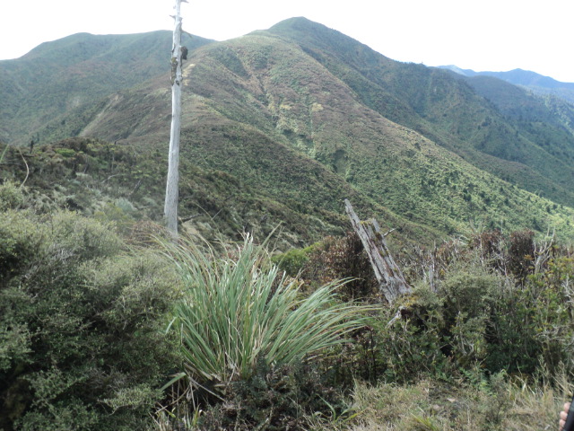 Name:  picture 5524.jpg
Views: 386
Size:  163.4 KB