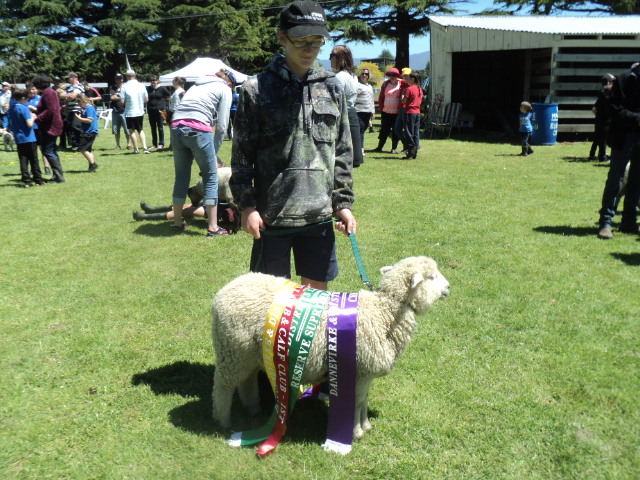 Name:  picture 6926.jpg
Views: 173
Size:  163.5 KB