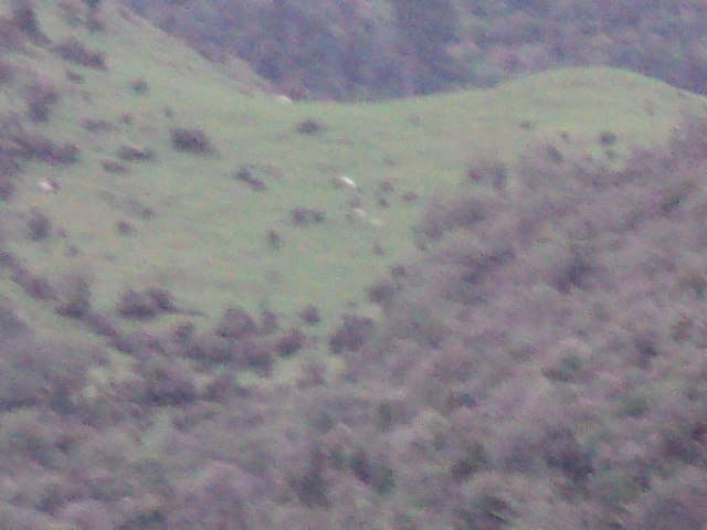 Name:  picture 6976.jpg
Views: 730
Size:  164.8 KB