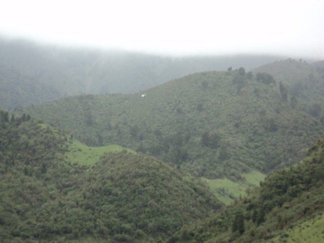 Name:  picture 6979.jpg
Views: 662
Size:  162.1 KB