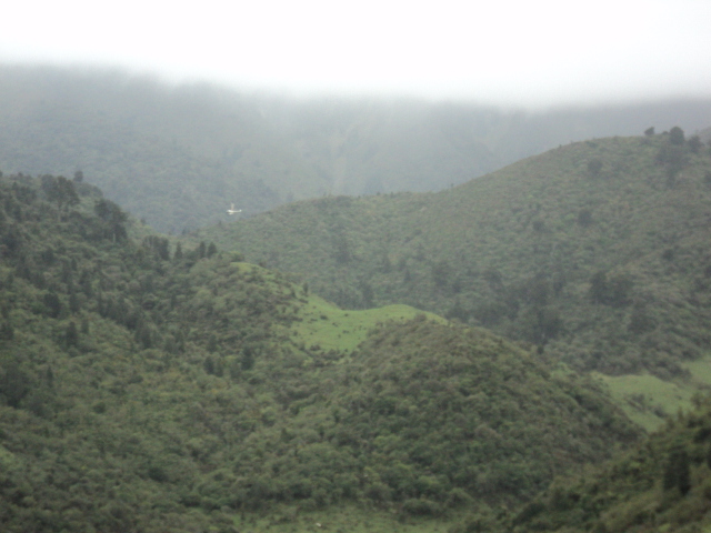 Name:  picture 6980.jpg
Views: 640
Size:  165.2 KB