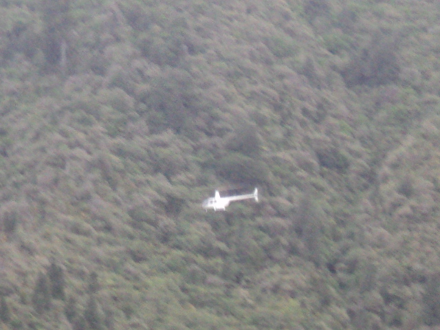 Name:  picture 6982.jpg
Views: 610
Size:  164.0 KB