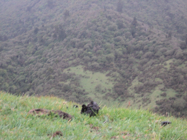 Name:  picture 6984.jpg
Views: 783
Size:  164.6 KB