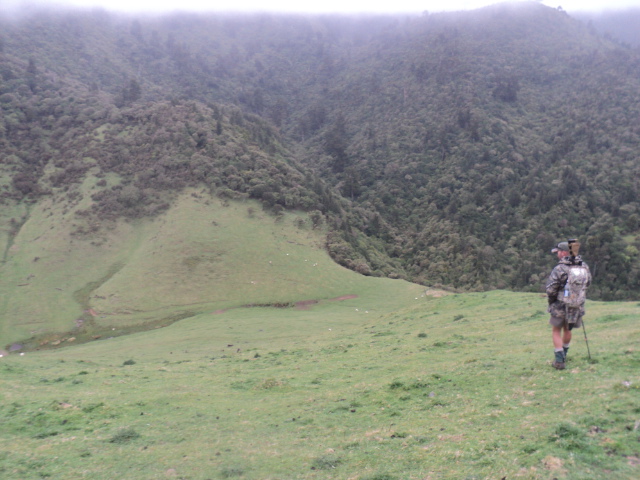 Name:  picture 6987.jpg
Views: 624
Size:  165.0 KB