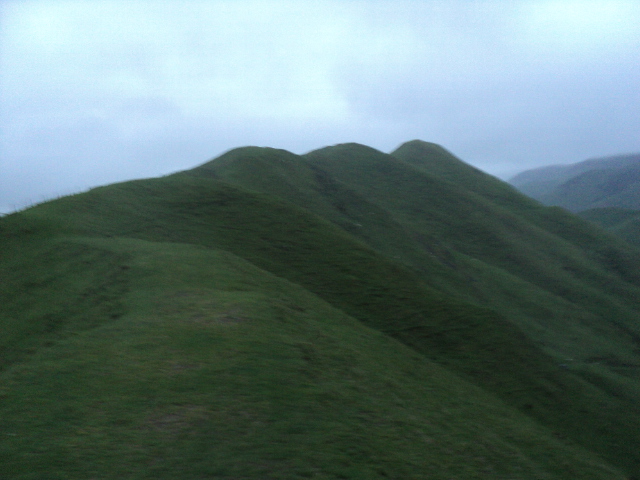 Name:  picture 7006.jpg
Views: 713
Size:  159.8 KB