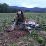 Name:  Stag.jpg
Views: 439
Size:  10.1 KB