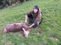 Name:  Yearling hind.jpg
Views: 440
Size:  17.1 KB
